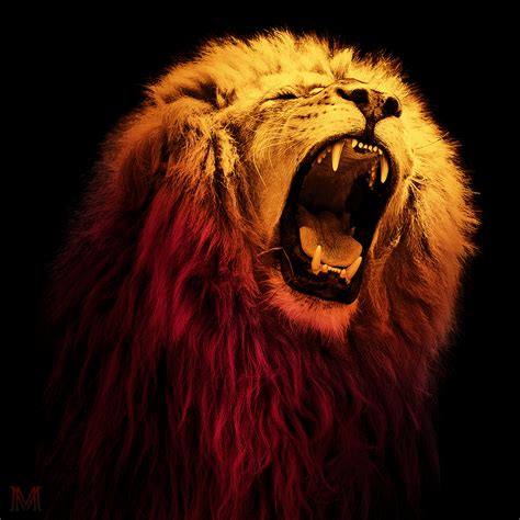 aslan profil resmi